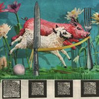 Fingerprint-of-the-Lamb-scaled-sq