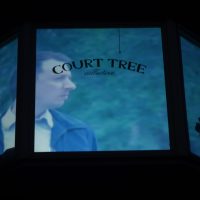 court-tree-1-sq